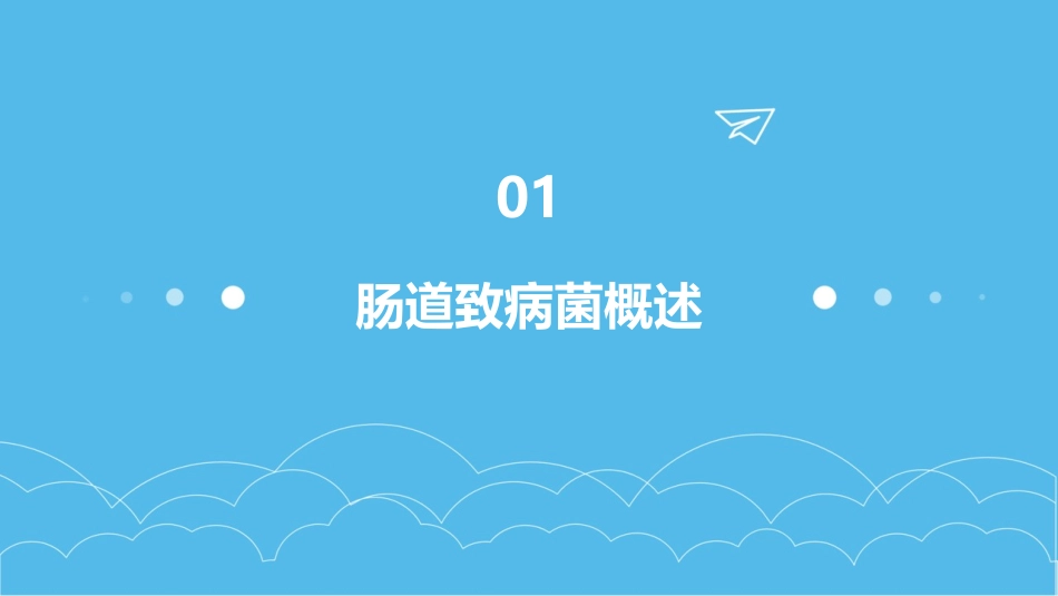 肠道致病菌的检验与鉴定课件_第3页