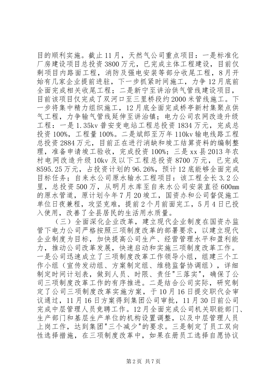 XX年县国资办主要工作总结_第2页