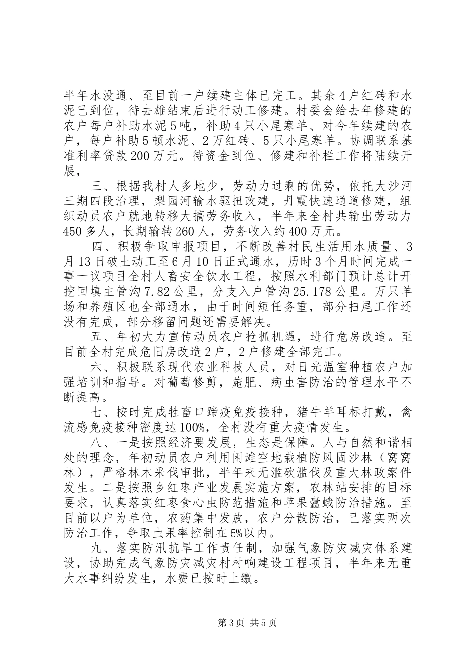 XX年村委会上半年工作总结_第3页
