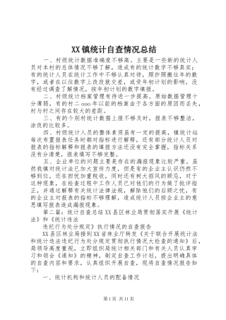 XX镇统计自查情况总结