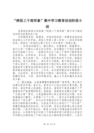 “树组工干部形象”集中学习教育活动阶段小结