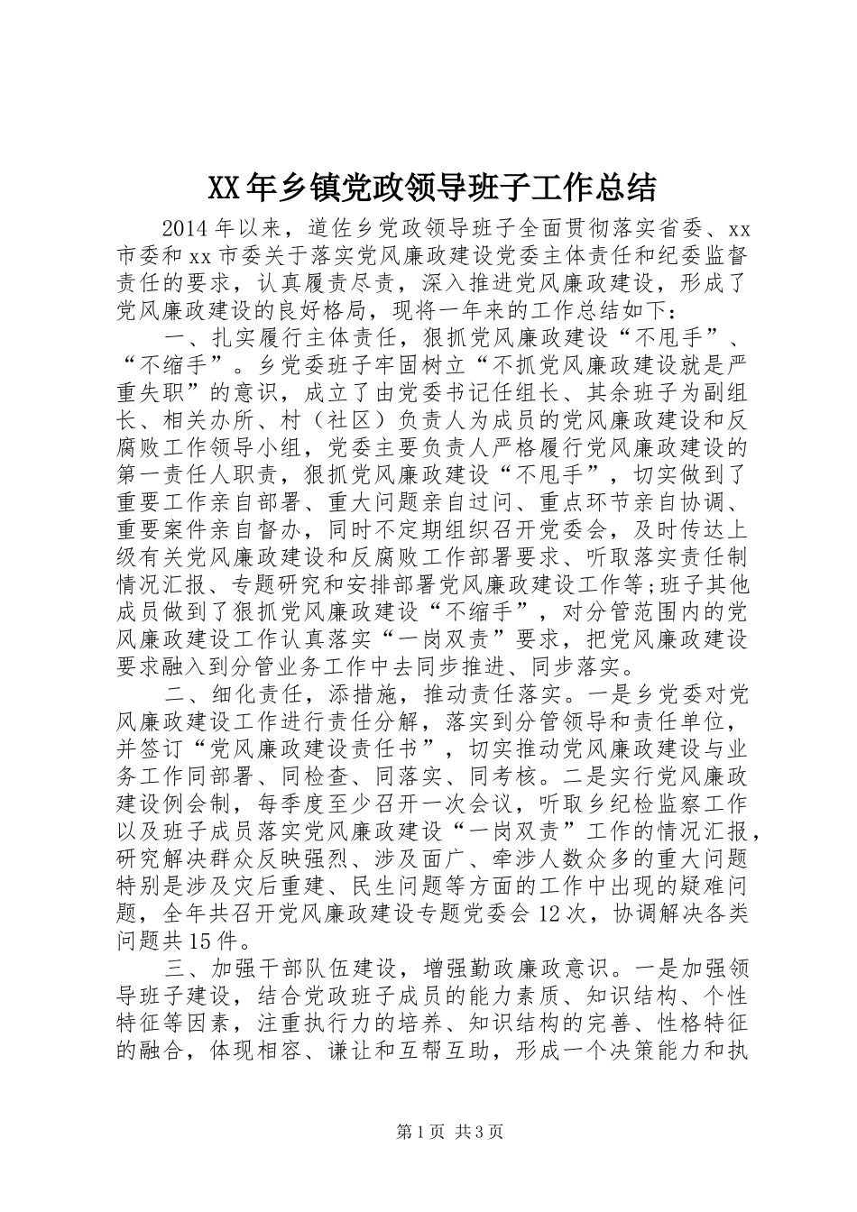 XX年乡镇党政领导班子工作总结_第1页