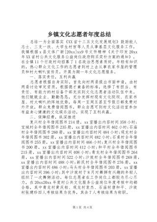乡镇文化志愿者年度总结
