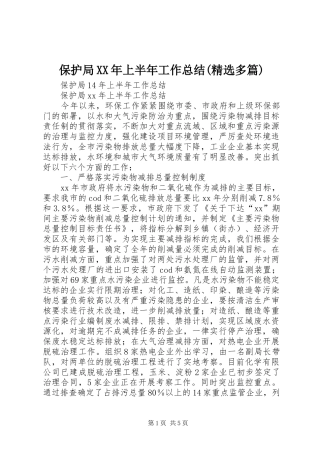 保护局XX年上半年工作总结(精选多篇)