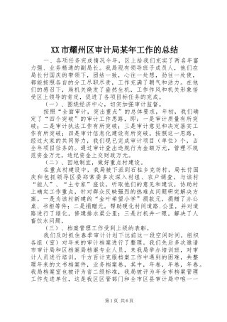 XX市耀州区审计局某年工作的总结 (3)