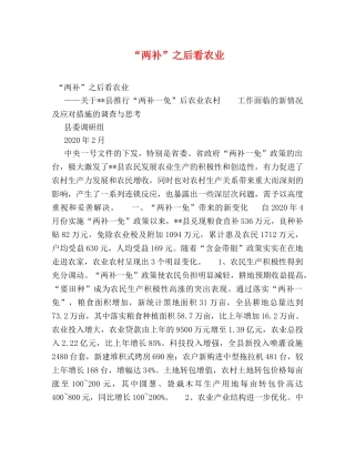 “两补”之后看农业 