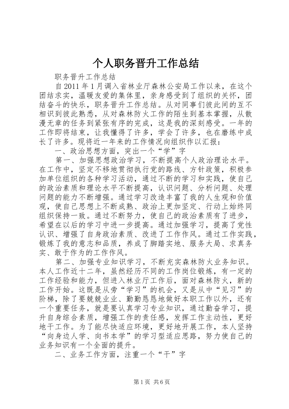 个人职务晋升工作总结_第1页