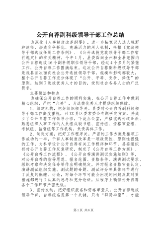 公开自荐副科级领导干部工作总结