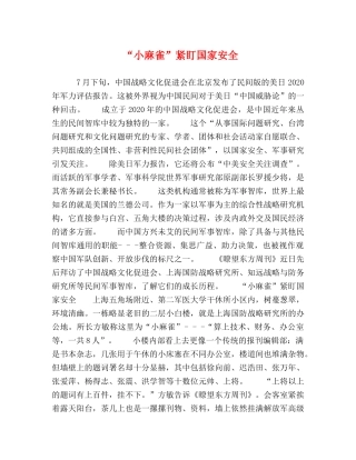 “小麻雀”紧盯国家安全 