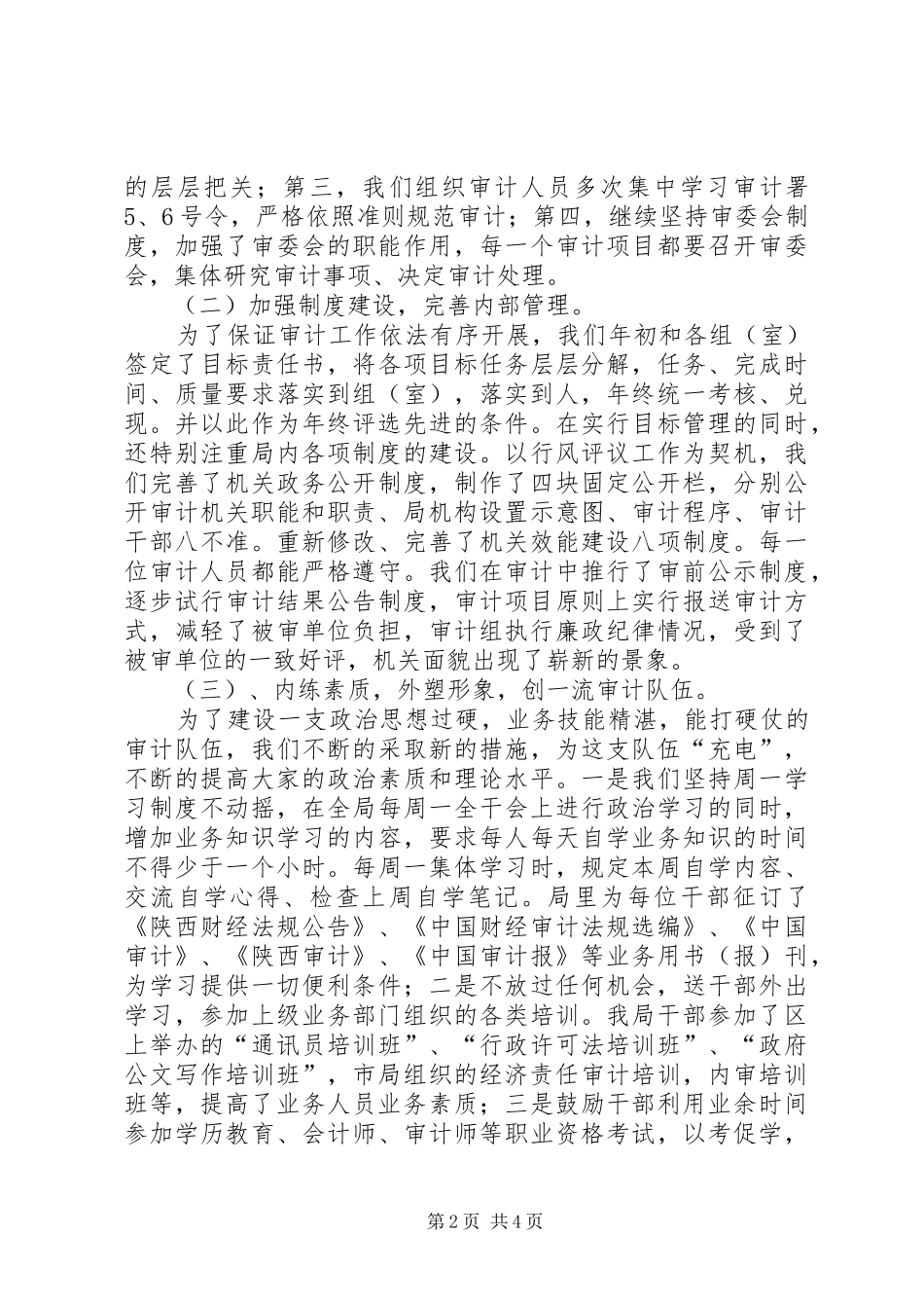 XX市XX区审计局工作的总结_第2页
