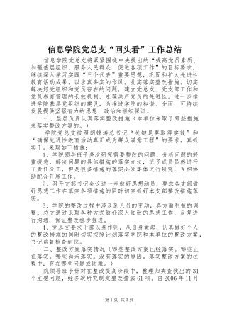 信息学院党总支“回头看”工作总结 (3)