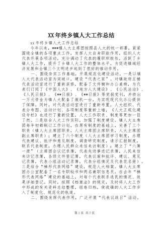 XX年终乡镇人大工作总结