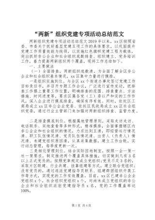 “两新”组织党建专项活动总结范文