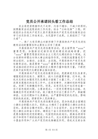 党员公开承诺回头看工作总结 (3)