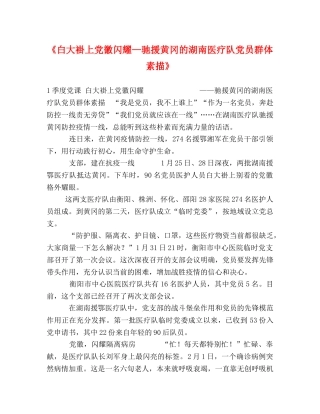 《白大褂上党徽闪耀—驰援黄冈的湖南医疗队党员群体素描》 