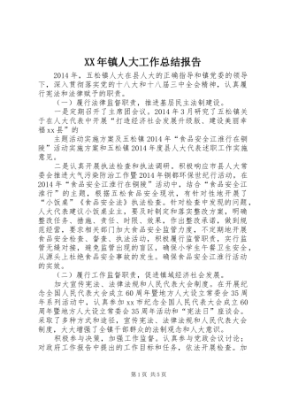 XX年镇人大工作总结报告