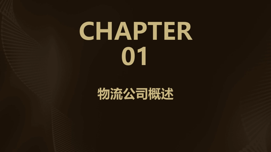 物流公司开发方案课件_第3页