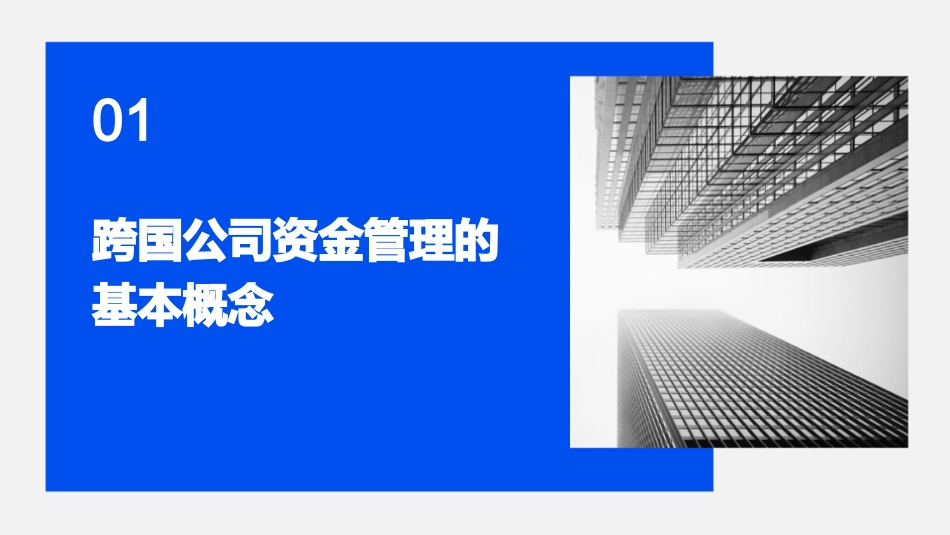 跨国公司内部资金管理教学课件_第3页