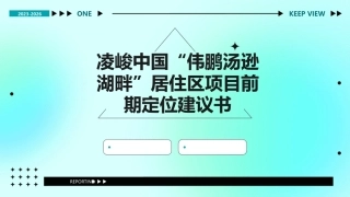 凌峻中国“伟鹏汤逊湖畔”居住区项目前期定位建议书课件