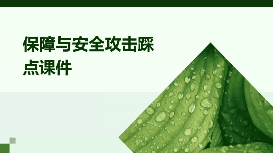 保障与安全攻击踩点课件_第1页