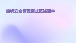 宝钢安全管理模式概述课件