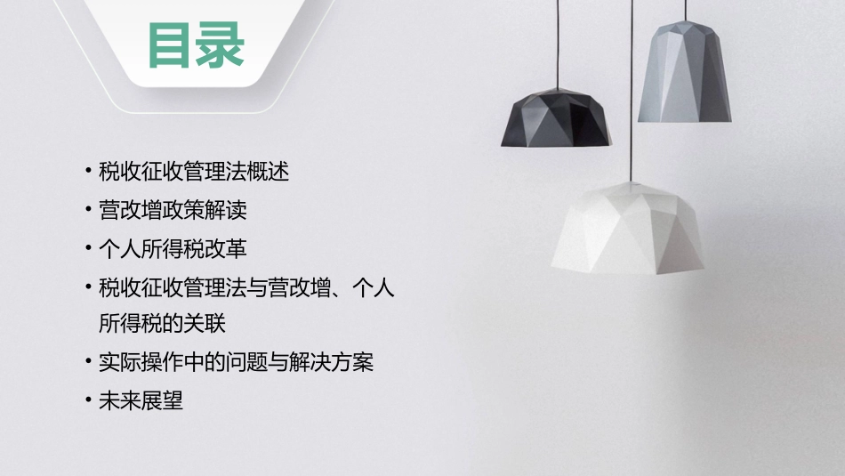 税收征收管理法含营改增个人所得税课件_第2页