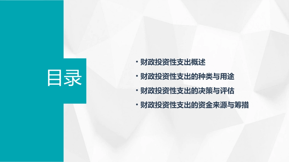 财政投资性支出通用课件_第2页