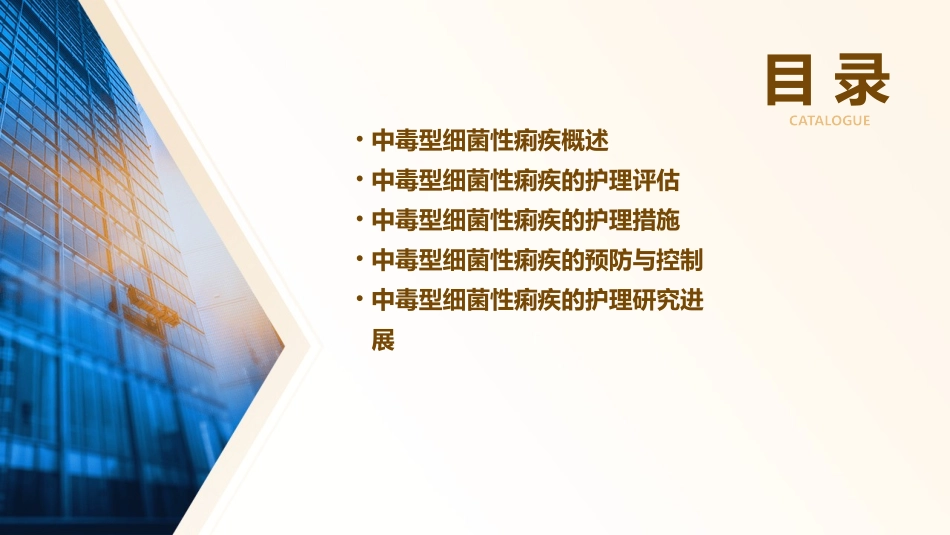 中毒型细菌性痢疾患儿的护理课件_第2页