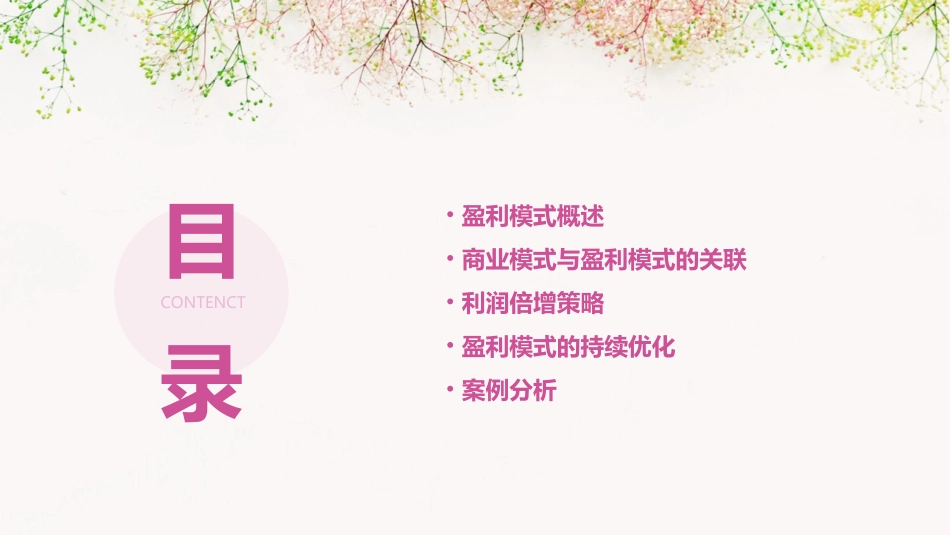 盈利模式——从商业模式到利润倍增课件_第2页