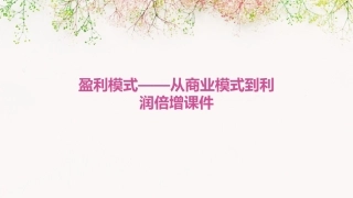 盈利模式——从商业模式到利润倍增课件