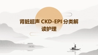 肾脏超声CKD-EPI分类解读护理