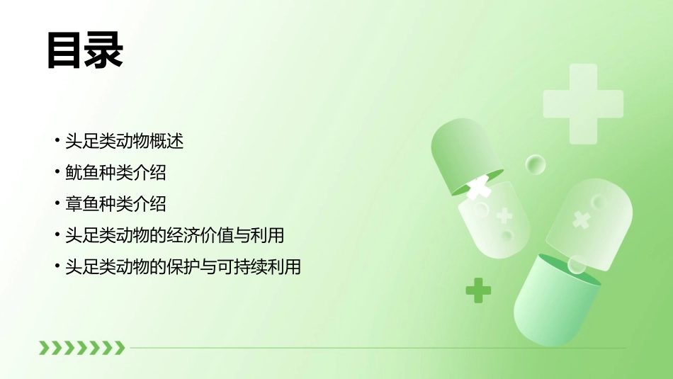 鱿鱼及章鱼等头足类中的许多种类课件_第2页