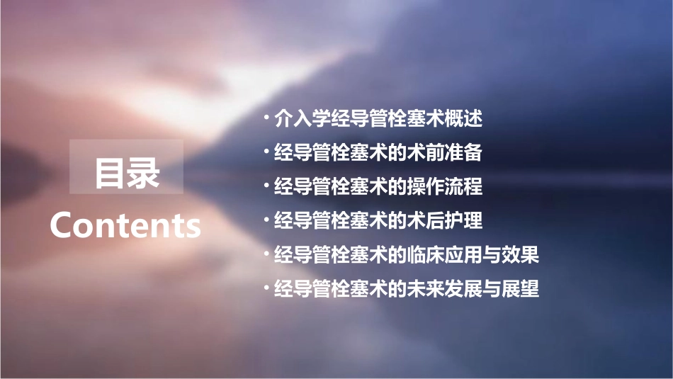 介入学经导管栓塞术课件_第2页
