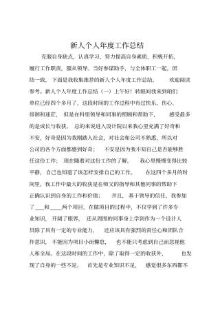 新人个人年工作总结