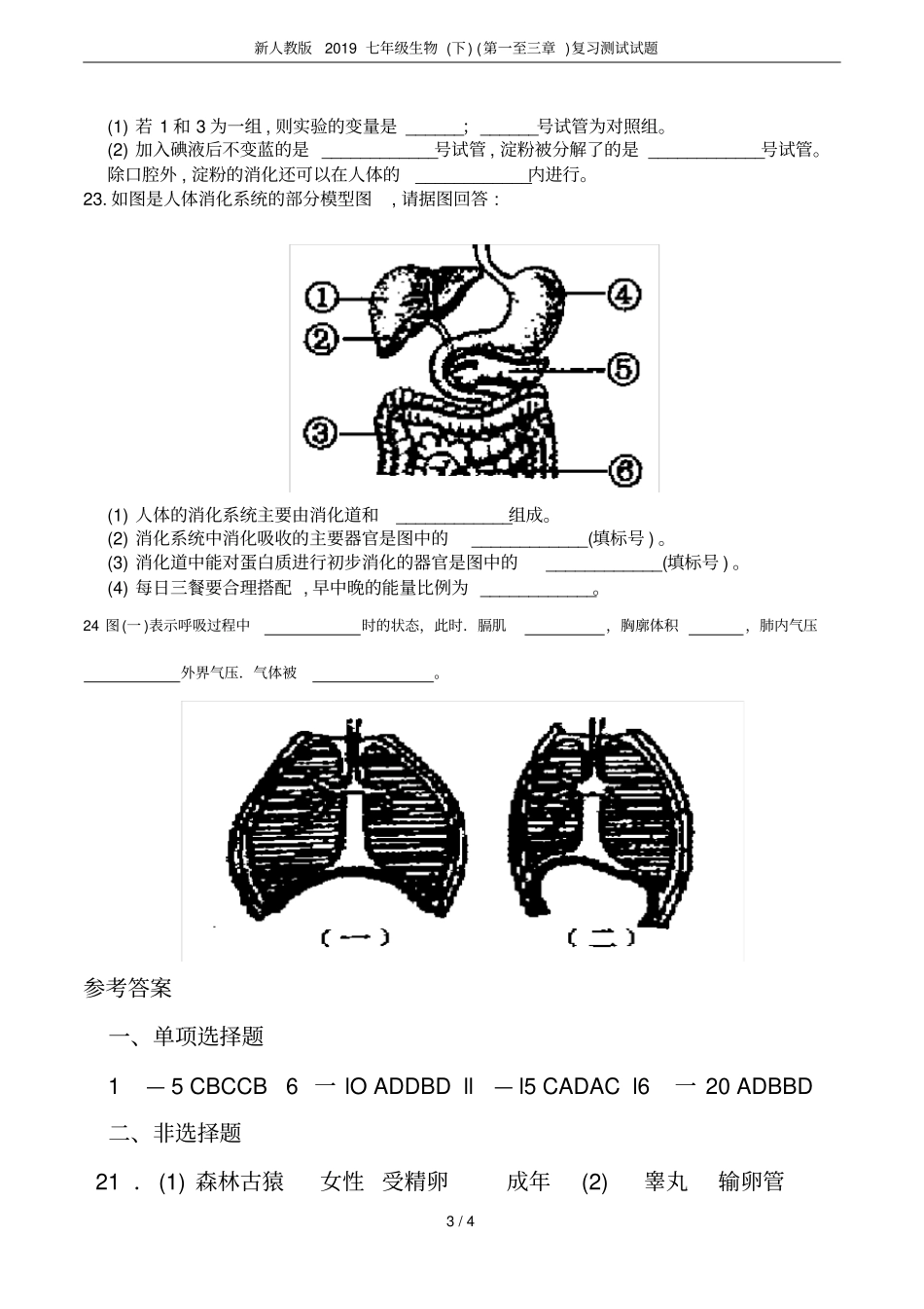 新人教版2019七年级生物下第一至三章复习测试试题_第3页