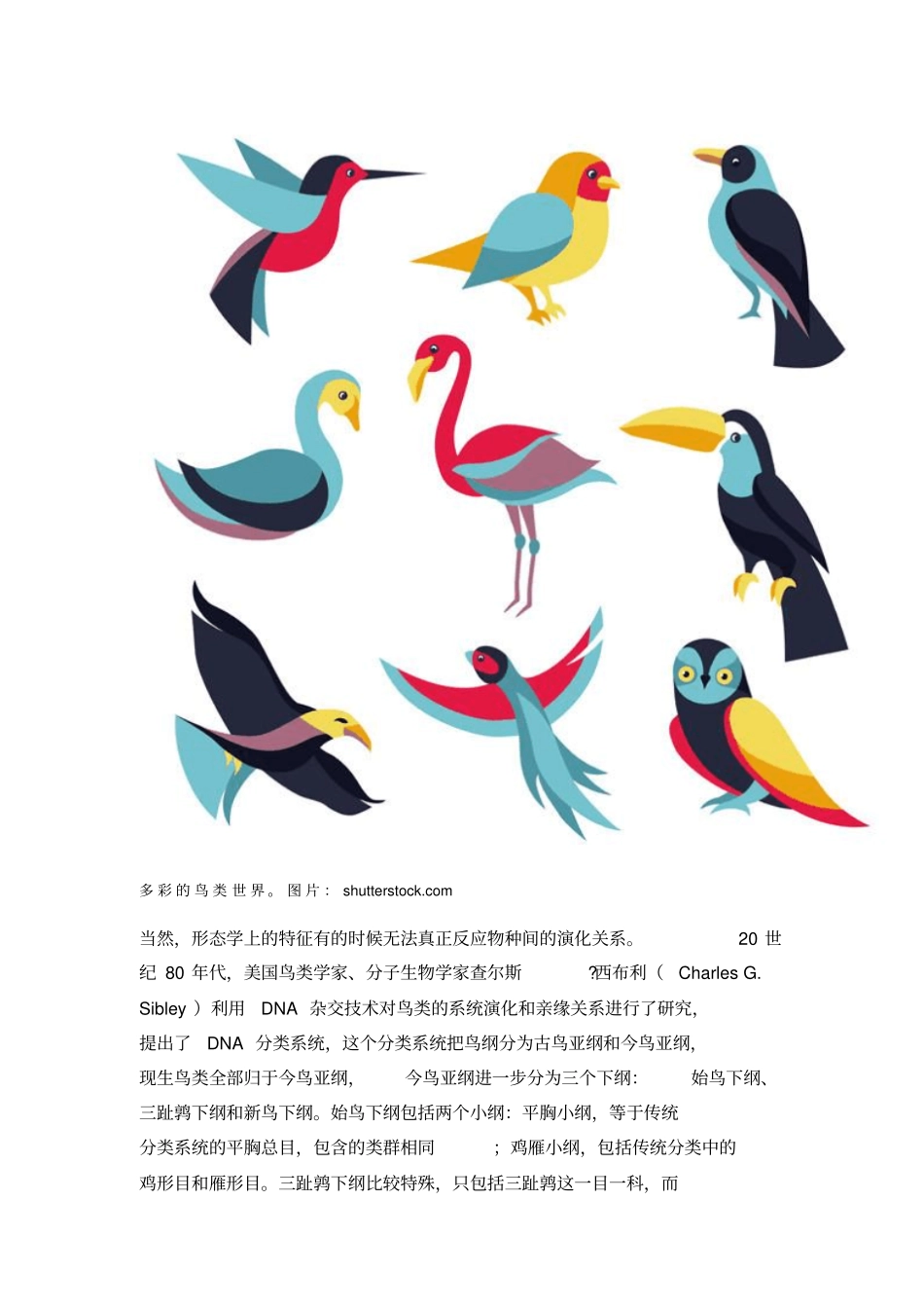新出炉的鸟类的新演化树_第2页