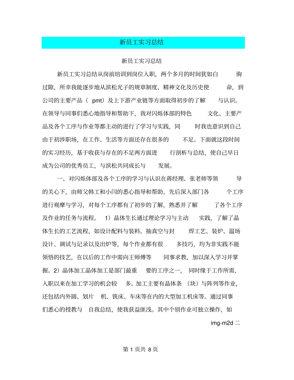 新员工实习总结_第1页