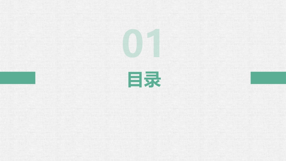 国际内部审计专业实务框架强制性指南课件1_第3页