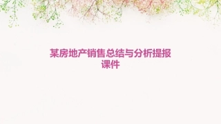 某房地产销售总结与分析提报课件