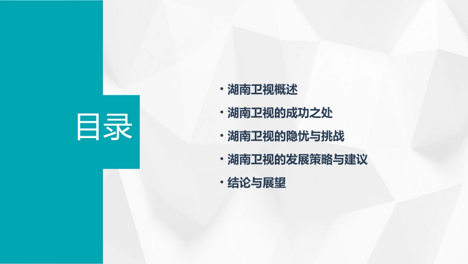 湖南卫视成功与隐忧课件_第2页