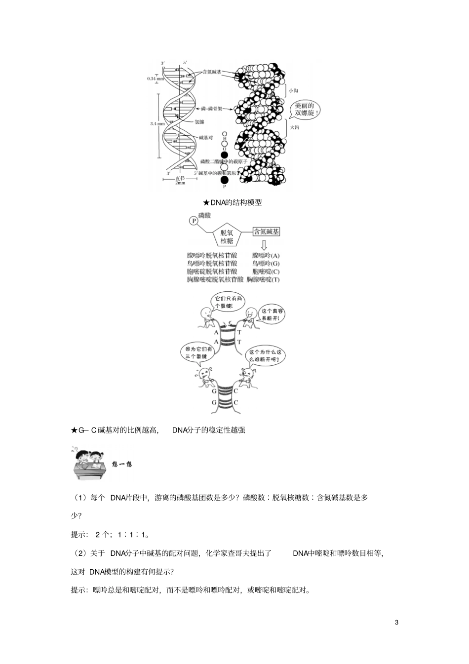 新课改地区2018-2019学年高中生物基因的本质第2节DNA分子的结构学案新人教版必修2_第3页