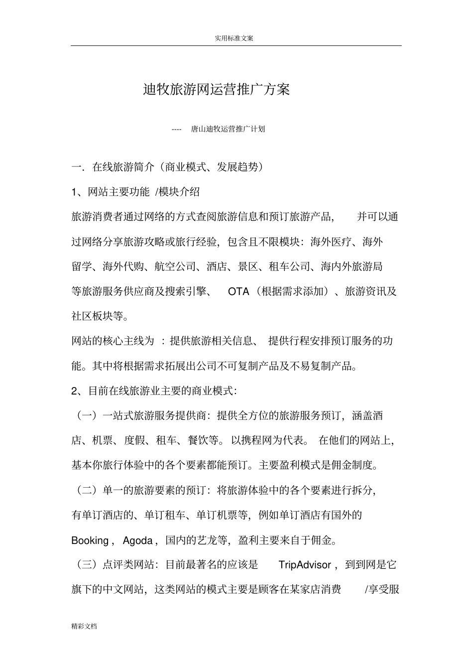 旅游网站运营推广方案设计_第1页