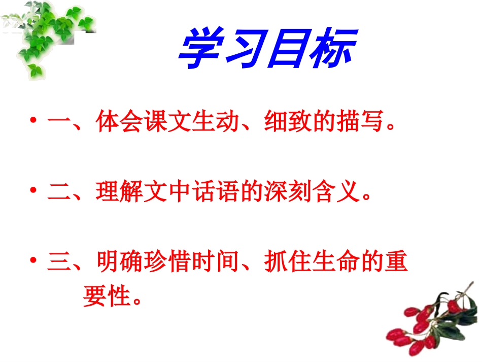 枸杞豆(1)_第3页