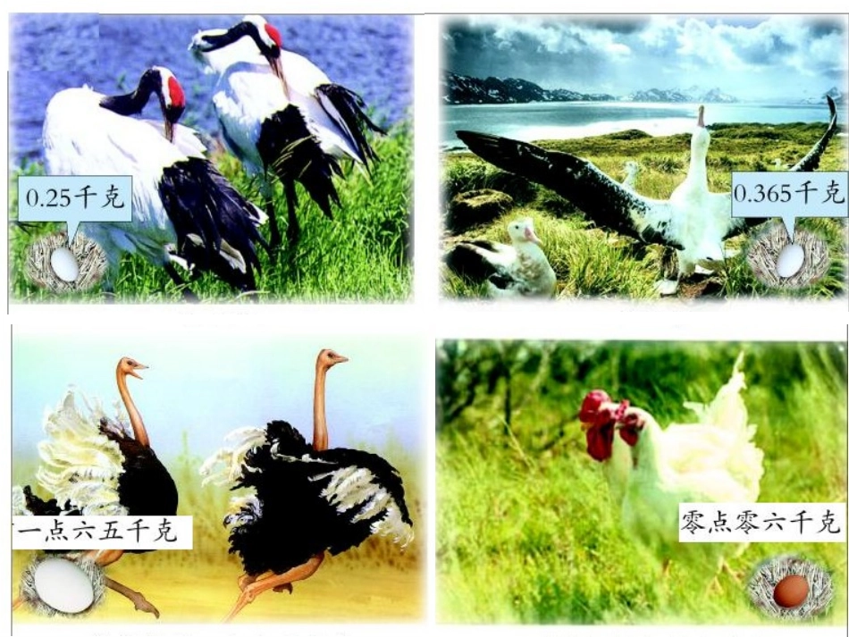 青岛_小数的意义和性质__蛋的世界_第1页