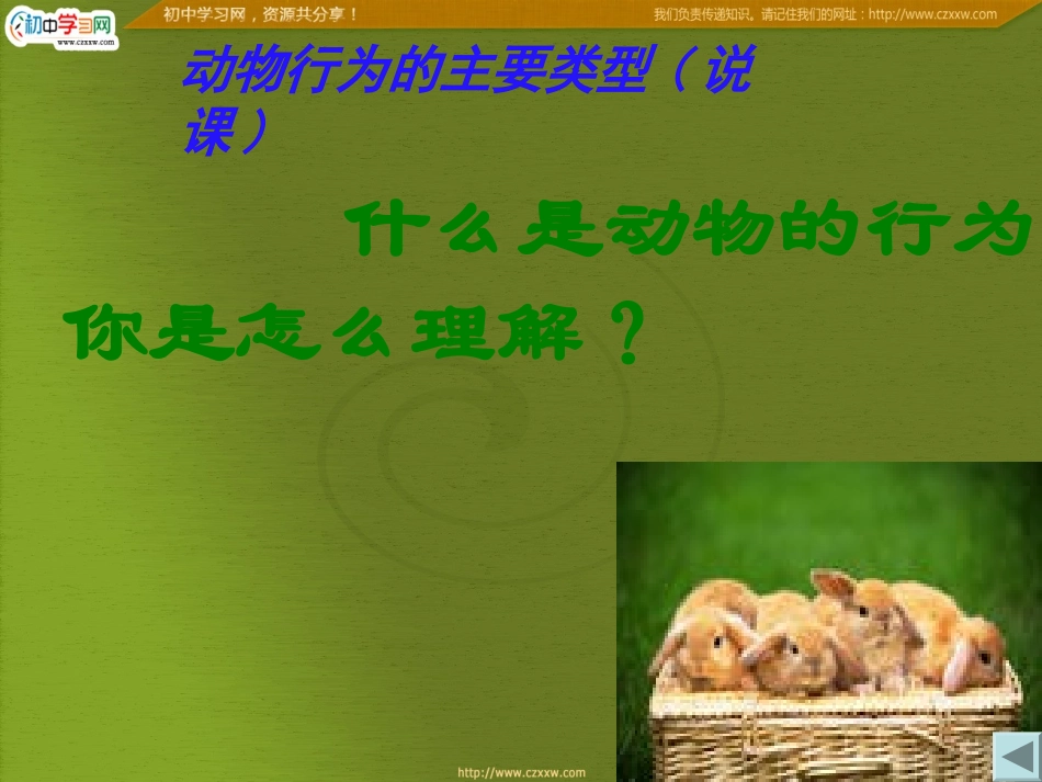 动物细微的主要类型1_第2页