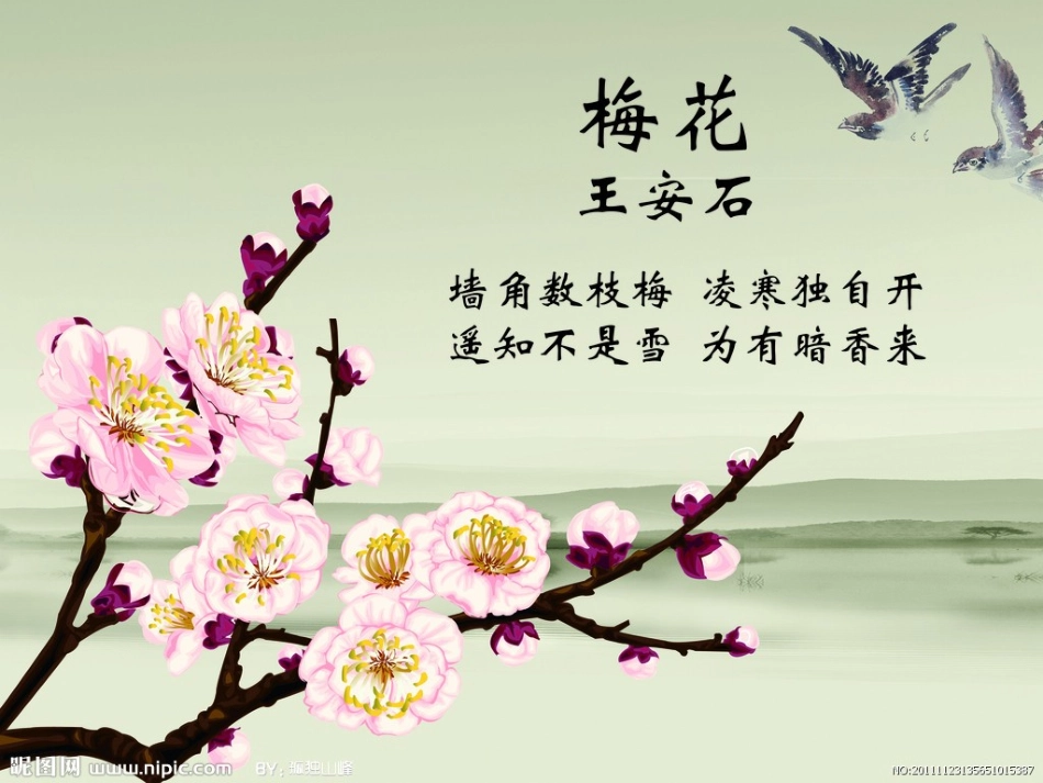 《梅花魂》PPT教学课件一_第2页