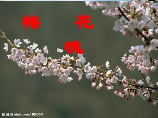 《梅花魂》PPT教学课件一