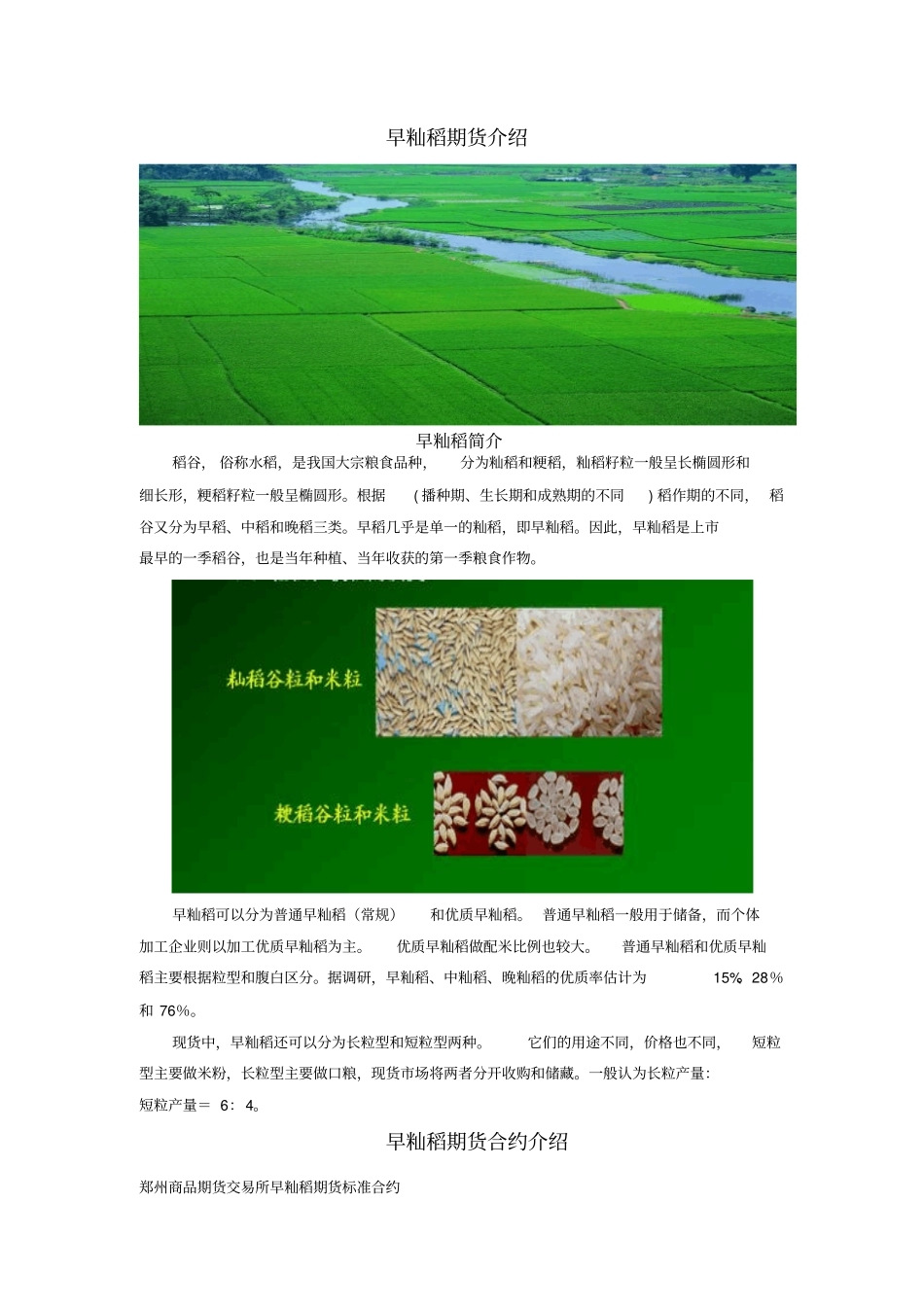 早籼稻期货介绍_第1页