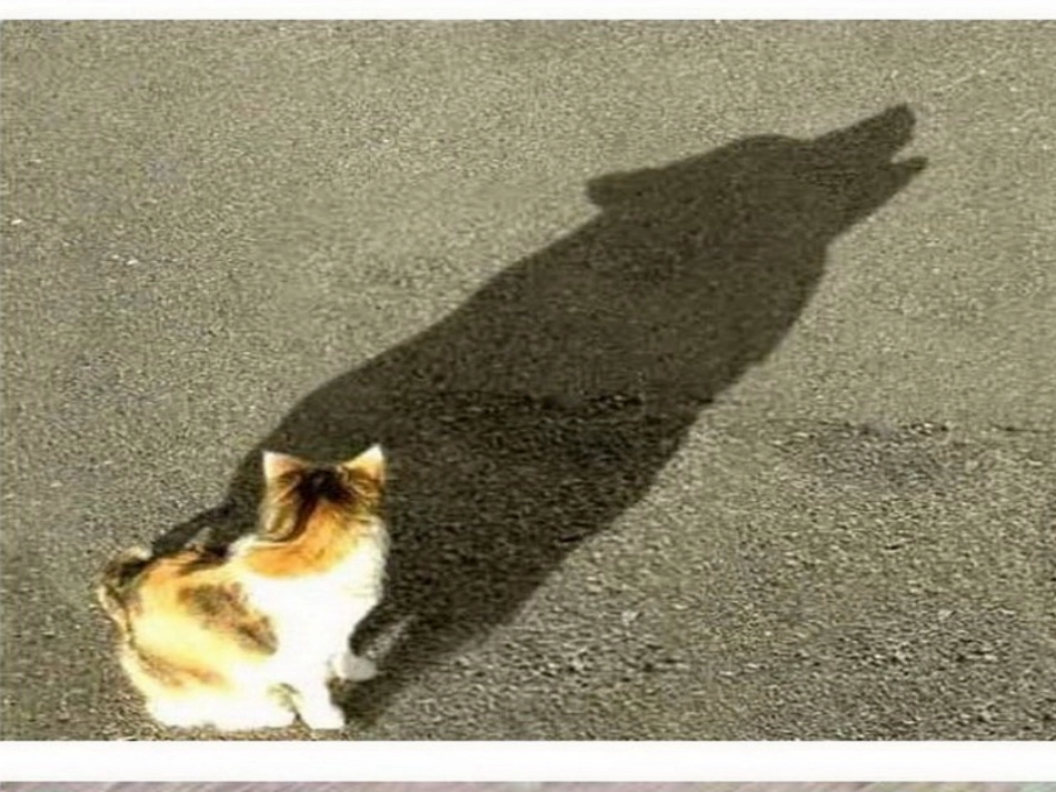 教育信息技术大赛_第3页