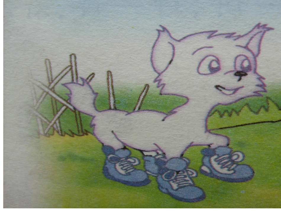 小猫咪穿鞋子 (3)_第1页